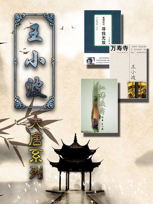王小波大唐系列 (寻找无双、万寿寺、红拂夜奔 共3册）